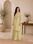 Mint Green Chiffon Suit