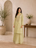 Mint Green Chiffon Suit