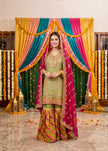 Olive Green Gharara Suit