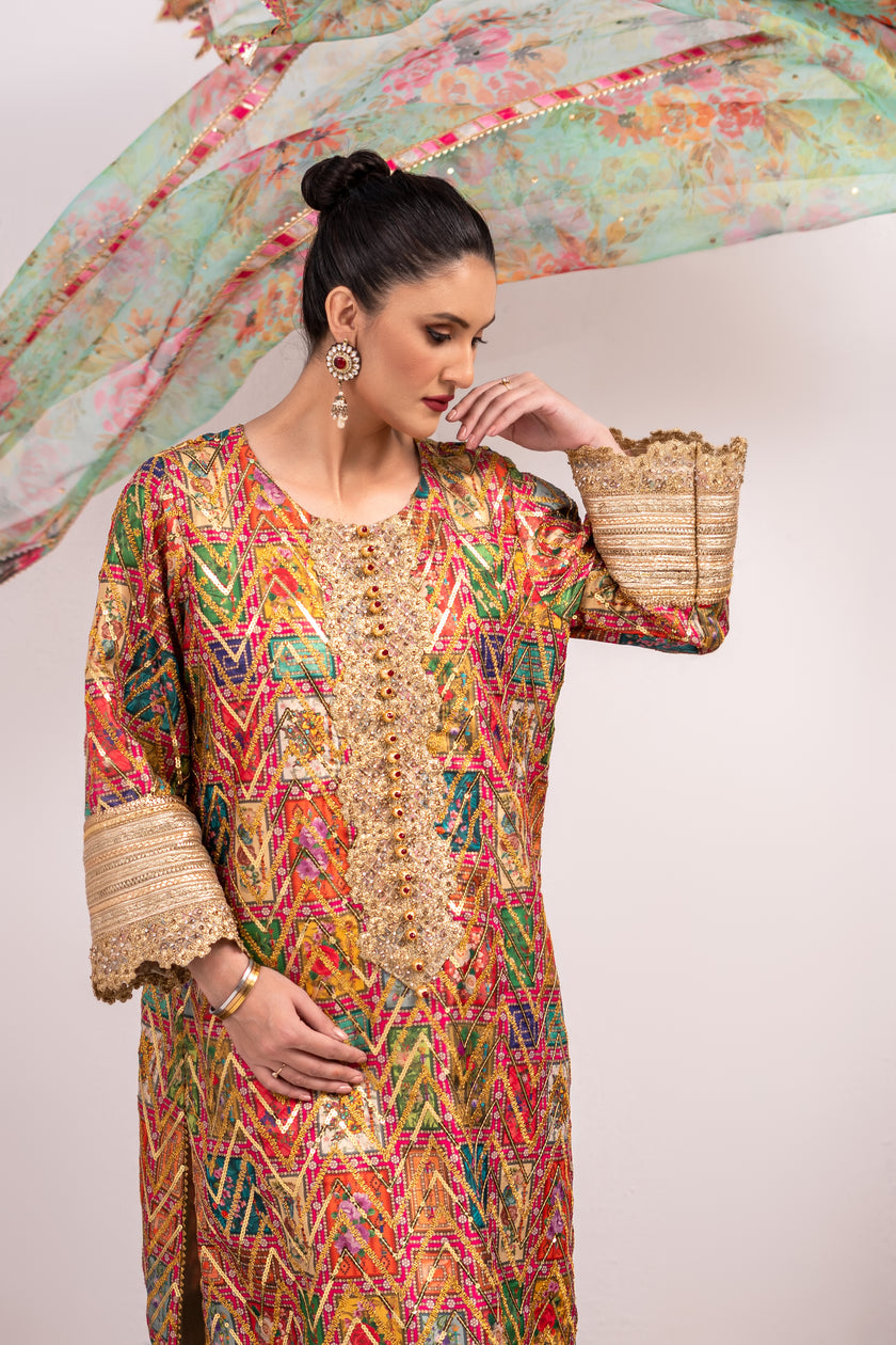 Multicolor Wide Leg Shalwar Kameez