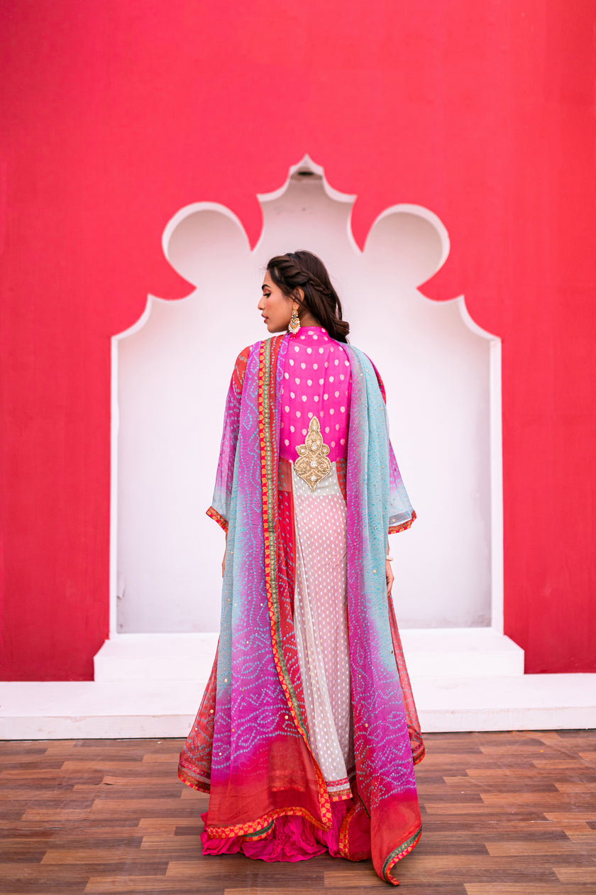 Multicolor Long Sharara