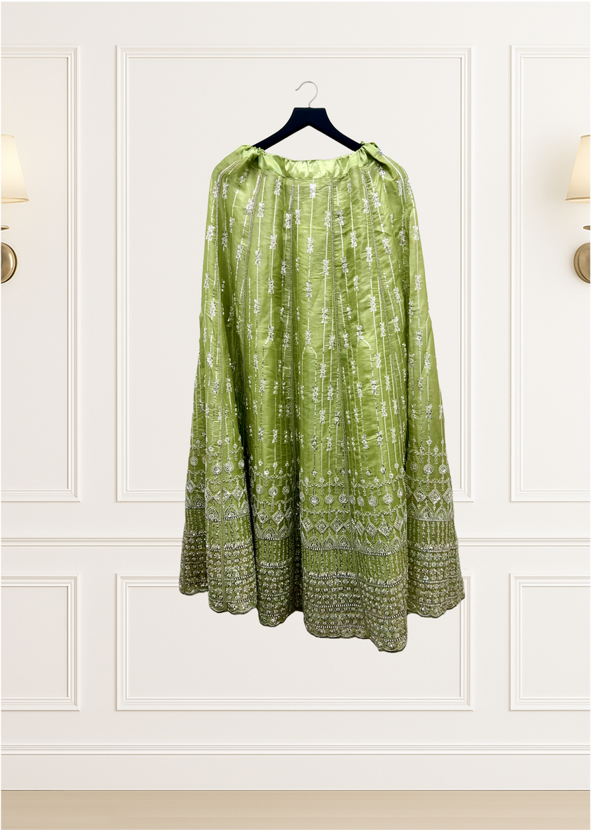 Mint Green Lehnga Suit